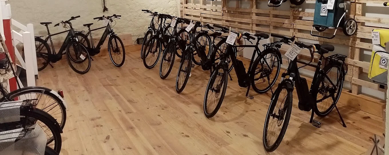 Vélos électriques alignés en boutique, au Dérailleur à Arcueil