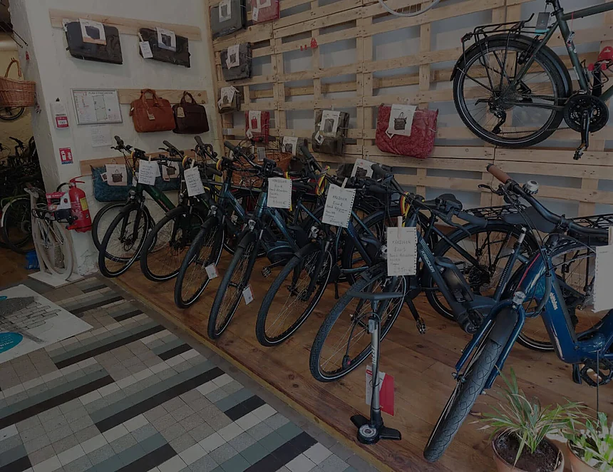 Vélos alignés et étiquetés dans la salle d'exposition