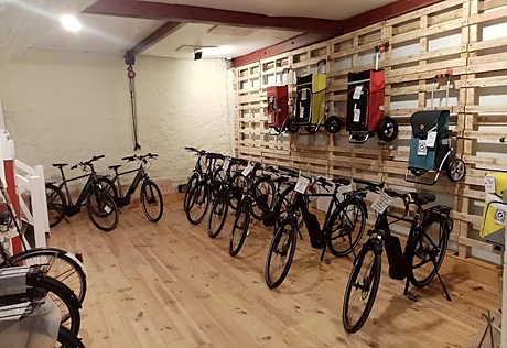La boutique du Dérailleur, vélos alignés et étiquetés en essai libre